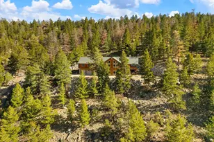 16382 Falcon Dr, Nathrop, CO 81236 - Photo 13