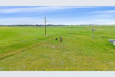 22624 County Road 5, Elbert, CO 80106 - Photo 37