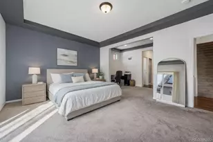 5309 Liverpool St, Denver, CO 80249 - Photo 9