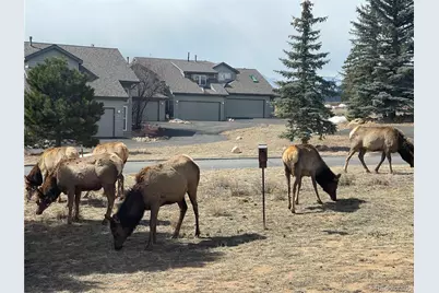 1437 Raven Circle #D, Estes Park, CO 80517 - Photo 1