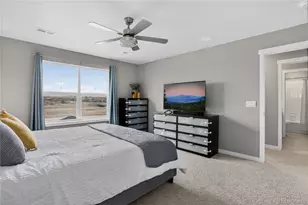 13891 Wild Lupine St, Parker, CO 80134 - Photo 25