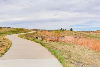 13891 Wild Lupine Street, Parker, CO 80134 - Photo 49