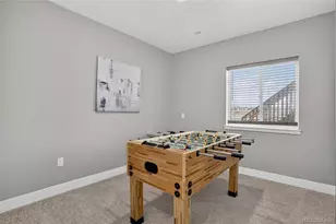 13891 Wild Lupine St, Parker, CO 80134 - Photo 41