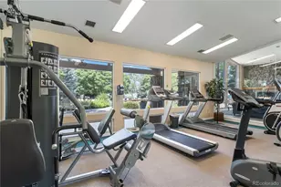 3825 Canyon Ranch Road, Highlands Ranch, CO 80126 - Photo 29