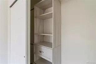 3825 Canyon Ranch Road, Highlands Ranch, CO 80126 - Photo 25