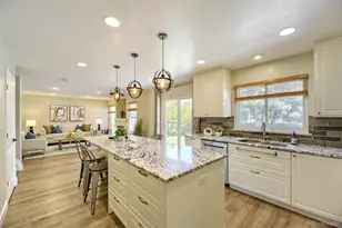 9808 Aftonwood St, Highlands Ranch, CO 80126 - Photo 11