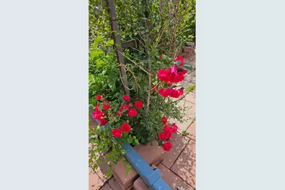 2730 W Mississippi Avenue #14, Denver, CO 80219 - Photo 23