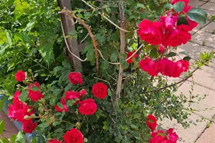 2730 W Mississippi Ave, Denver, CO 80219 - Photo 23