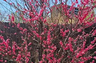 2730 W Mississippi Ave, Denver, CO 80219 - Photo 23