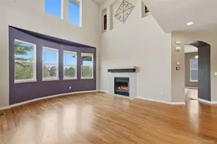 8343 Briar Trace Way, Castle Rock, CO 80108 - Photo 9