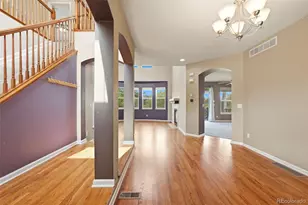 8343 Briar Trace Way, Castle Rock, CO 80108 - Photo 7