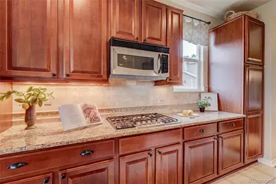 12168 S Hawks Rim Trail, Parker, CO 80134 - Photo 11