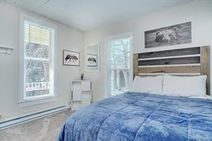 129 Lang St, Twin Lakes, CO 81251 - Photo 29