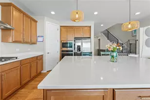 19240 E 96th Pl, Commerce City, CO 80022 - Photo 9