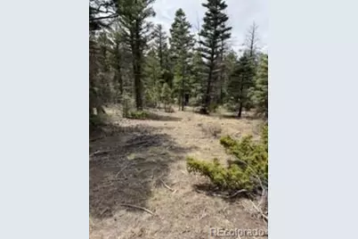 Lot 2711 Sleger Road, Fort Garland, CO 81133 - Photo 5