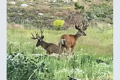 223 County Road 4980, Grand Lake, CO 80447 - Photo 17