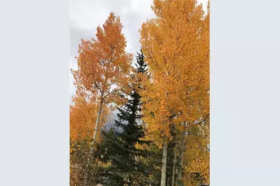 223 County Road 4980, Grand Lake, CO 80447 - Photo 37