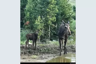 223 County Road 4980, Grand Lake, CO 80447 - Photo 29