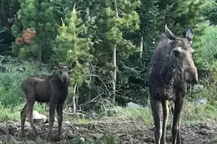 223 Co Rd 4980, Grand Lake, CO 80447 - Photo 29