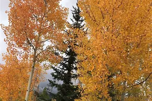 223 Co Rd 4980, Grand Lake, CO 80447 - Photo 27