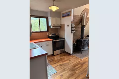 223 County Road 4980, Grand Lake, CO 80447 - Photo 5