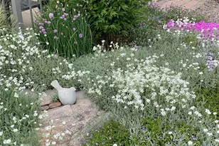 9461 W Baltic Ct, Lakewood, CO 80227 - Photo 45