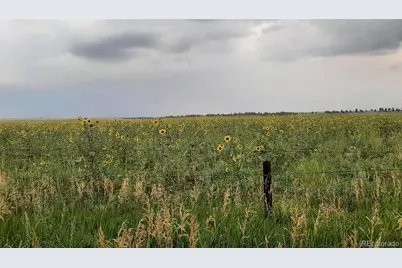 21550 Elk Meadows Circle, Elbert, CO 80106 - Photo 29
