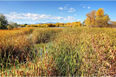 10157 W 38th Avenue, Wheat Ridge, CO 80033 - Photo 45