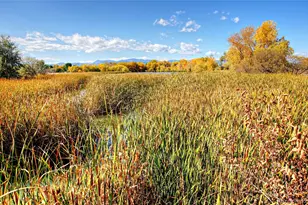 10157 W 38th Ave, Wheat Ridge, CO 80033 - Photo 45
