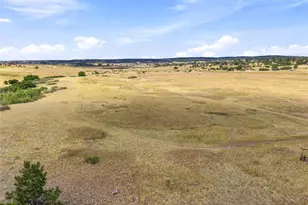 1125 Deerpath Rd, Franktown, CO 80116 - Photo 25