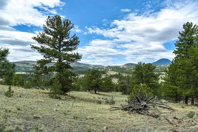 422 Buck Drive, Guffey, CO 80820 - Photo 35