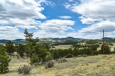 422 Buck Drive, Guffey, CO 80820 - Photo 11