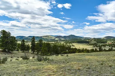 422 Buck Drive, Guffey, CO 80820 - Photo 23