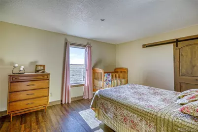 6729 County Road Dd.5, La Jara, CO 81140 - Photo 31