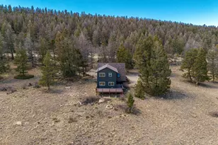 1324 Redhill Rd, Fairplay, CO 80440 - Photo 29