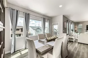 1172 Basalt Ridge Loop, Castle Rock, CO 80108 - Photo 11