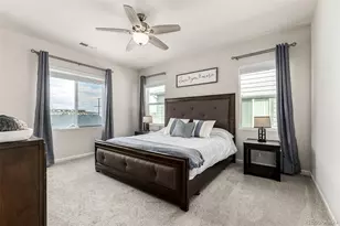 1172 Basalt Ridge Loop, Castle Rock, CO 80108 - Photo 21