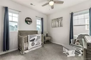 1172 Basalt Ridge Loop, Castle Rock, CO 80108 - Photo 27