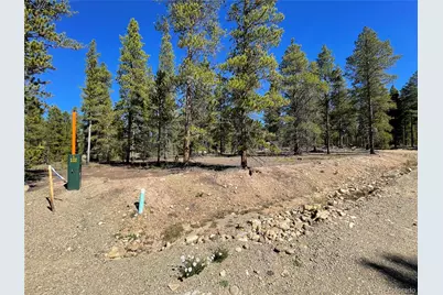 100 Virginia Avenue, Leadville, CO 80461 - Photo 5