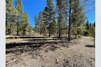 100 Virginia Avenue, Leadville, CO 80461 - Photo 3