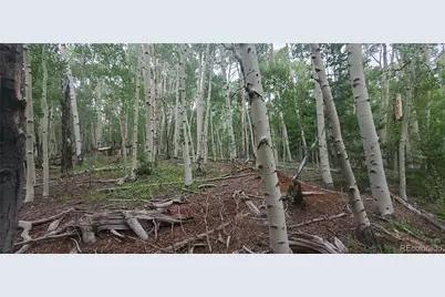 Lot 5837 Sheldon Road, Fort Garland, CO 81133 - Photo 5