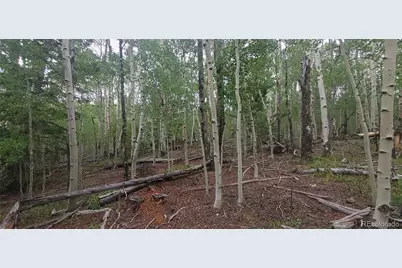 Lot 5837 Sheldon Road, Fort Garland, CO 81133 - Photo 7