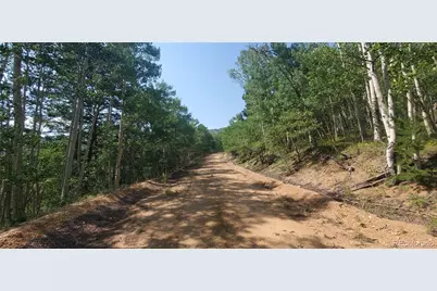 Lot 5837 Sheldon Road, Fort Garland, CO 81133 - Photo 13