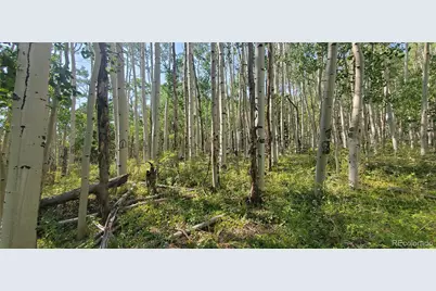 Lot 5837 Sheldon Road, Fort Garland, CO 81133 - Photo 3