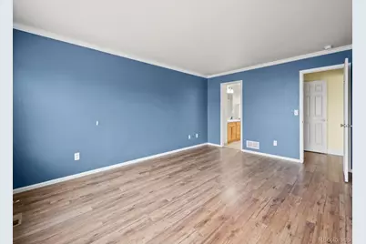 1285 Kittery Street, Castle Rock, CO 80104 - Photo 23