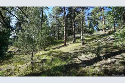 Bob Cat Trail, Bailey, CO 80421 - Photo 3