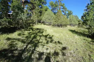 Bob Cat Trail, Bailey, CO 80421 - Photo 1
