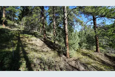 Bob Cat Trail, Bailey, CO 80421 - Photo 5