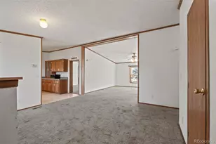 1711 Witcher Mtn. Rd, Guffey, CO 80820 - Photo 3