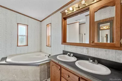 1711 Witcher Mountain Road, Guffey, CO 80820 - Photo 21